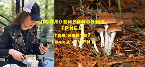 PSILOCYBIN Балабаново