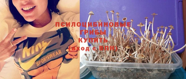 МДПВ Балахна