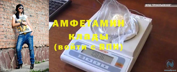 PSILOCYBIN Балабаново